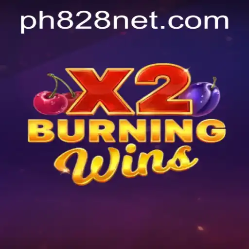 BurningWinsX2: A Closer Look into the Phenomenon and Its Rules